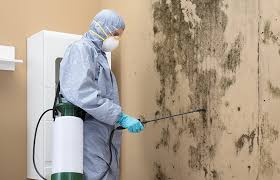 Best Commercial Mold Inspection  in Glenpool, OK